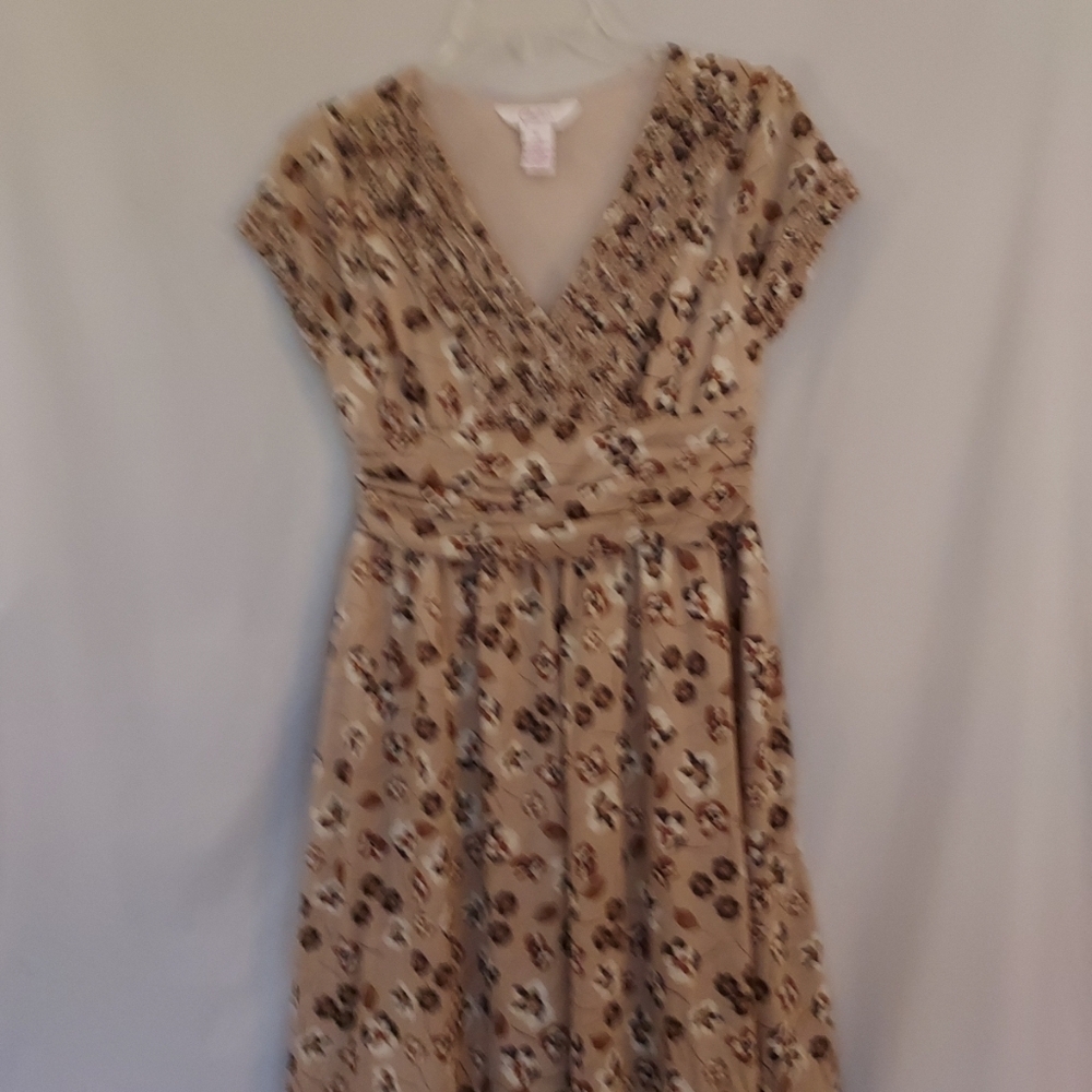 Womans Dress